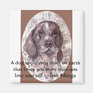 Hund är magnet 2
