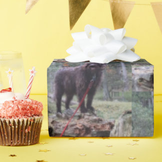 Hund av anpassningsbar Papper radbyte Presentpapper