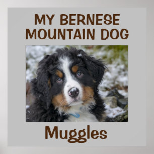 Hund av anpassningsbar poster