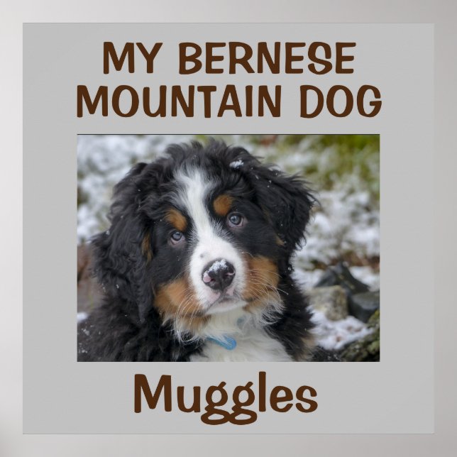 Hund av anpassningsbar poster (Framsidan)