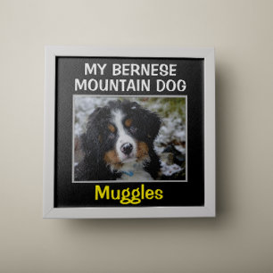 Hund av anpassningsbar poster