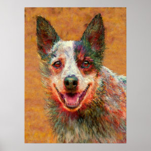 hund av australiskt nötkreatur poster