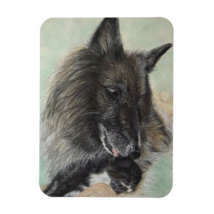 hund av belgium shepherd magnet