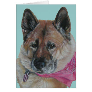 hund av fantastisk akita rosa scarf USA flagga mär Hälsningskort