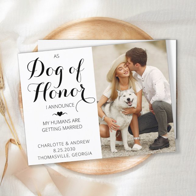 Hund av Hedersfoto Pet Bröllop spara datum Meddelande Vykort (Skapare uppladdad)