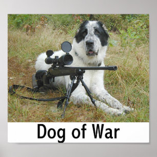 Hund av krig 2 poster