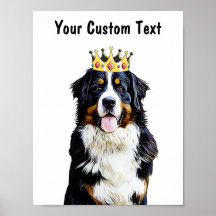 Hund av personlig | Gräns Collie