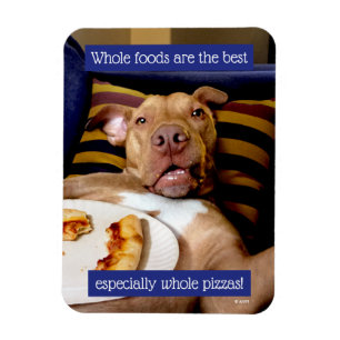 Hund av Pizza Magnet