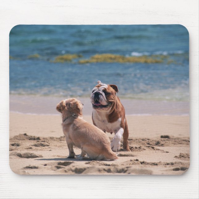 Hund av Sandy Beach Musmatta (Framsidan)