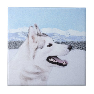 hund av siberian husky (Silver och vitt) Kakelplatta