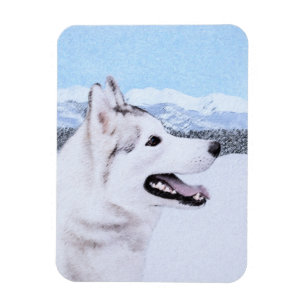 Hund av siberian husky (Silver och vitt) Magnet