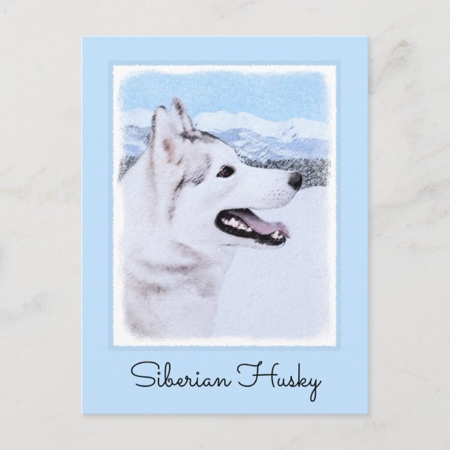 Hund av siberian husky (Silver och vitt) Vykort (Framsida)