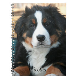 Hund av vackert Bernese Mountain Anteckningsbok