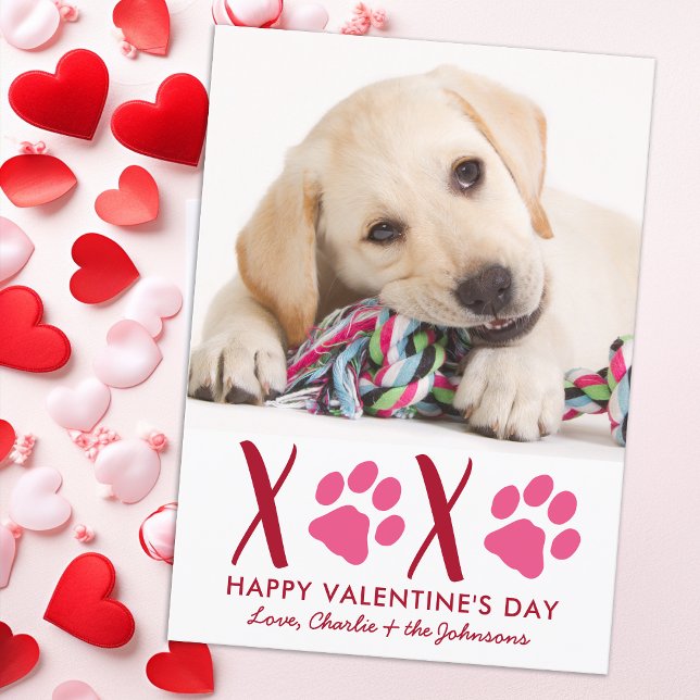 Hund av valentines day XOXO Cute Puppy Pet Julkort (Skapare uppladdad)