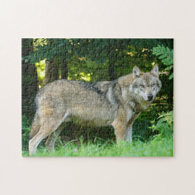 Hund av varg i en skog pussel (Horisontell)