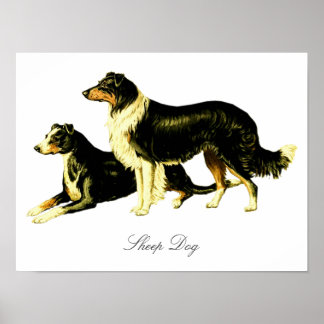 Hund av vintage får poster