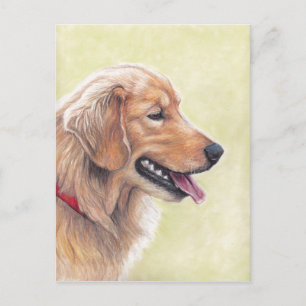 Hund av vykort för Golden Retriever-profil