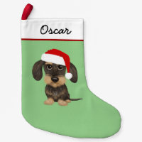 Hund av Wirehved Dachshund Teckel Santa Cute