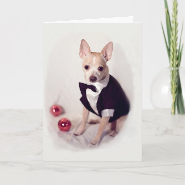Hund Avböjd ut Helgkort (Framsida)