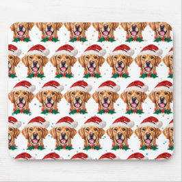 Hund aveln-julen i Golden Retriever Musmatta