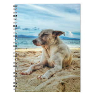 Hund avslappningsdag vid stranden, havsytan och So Anteckningsbok
