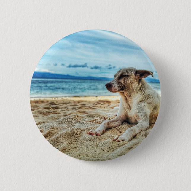 Hund avslappningsdag vid stranden, havsytan och So Knapp (Framsida)