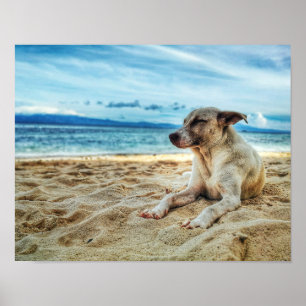 Hund avslappningsdag vid stranden, havsytan och So Poster