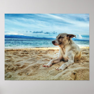 Hund avslappningsdag vid stranden, havsytan och So Poster
