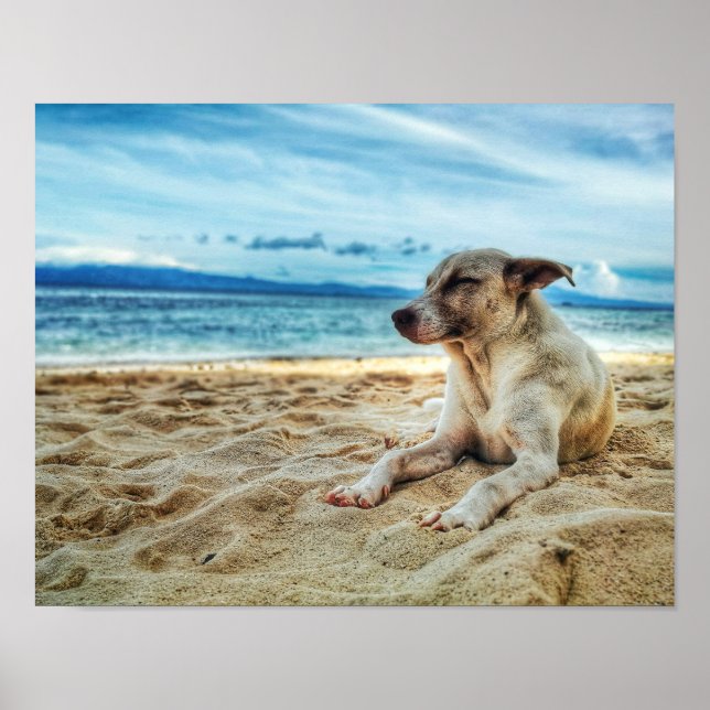 Hund avslappningsdag vid stranden, havsytan och So Poster (Framsidan)