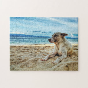 Hund avslappningsdag vid stranden, havsytan och So Pussel