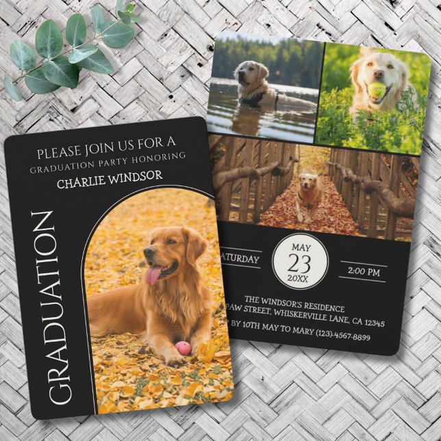 Hund Avslutningsfest Inbjudan Husdjur Bilder svart (Dog Graduation Party Invitation cards)
