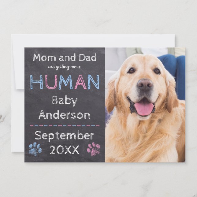 Hund Baby Gravid Meddelande (Framsida)