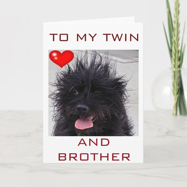 HUND BAD HAIR DAG GRATTIS PÅ FÖDELSEDAGEN TWIN BRO KORT (Framsida)