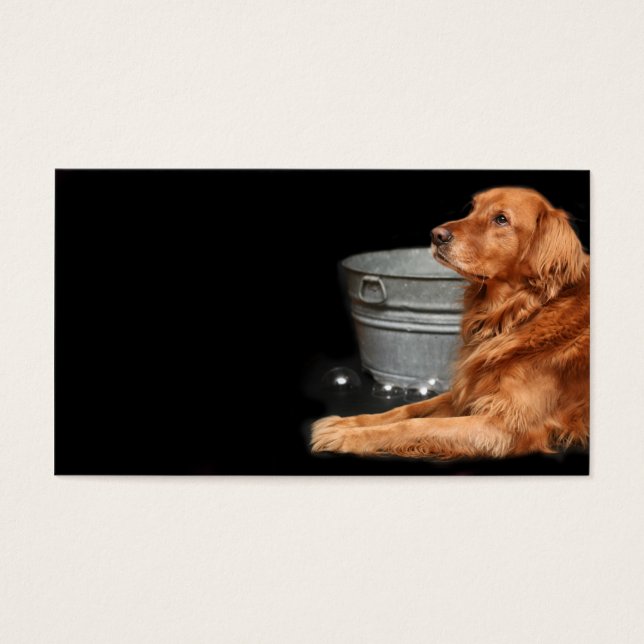 Hund bad visitkort (Framsidan)