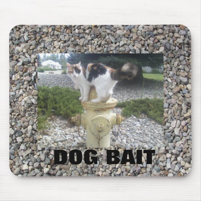 Hund Bait Cat på ett Hydrant Musmatta (Framsidan)