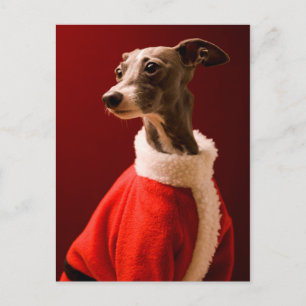Hund bär Pappa jul kläder Helg Vykort
