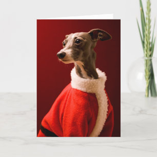 Hund bär Pappa jul kläder Helgkort