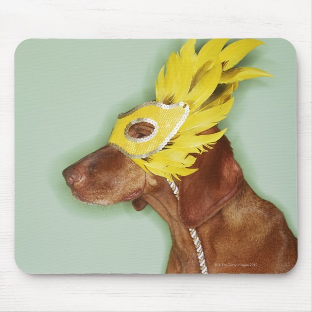 Hund bärmask musmatta (Framsidan)