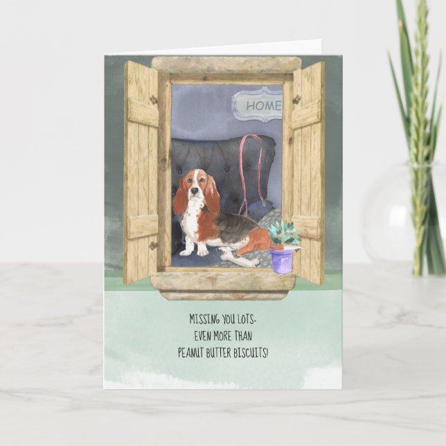Hund Basset Hound vidWindow saknas Kort (Framsida)