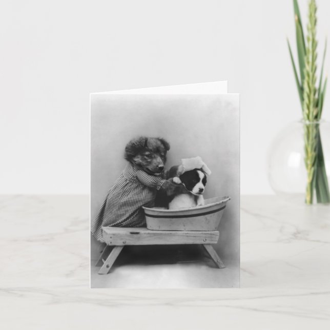 Hund Bathing Hund Kort (Framsida)