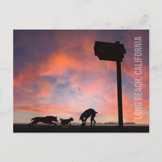 Hund Beach at Sunset - Long Beach, California Vykort (Framsida)
