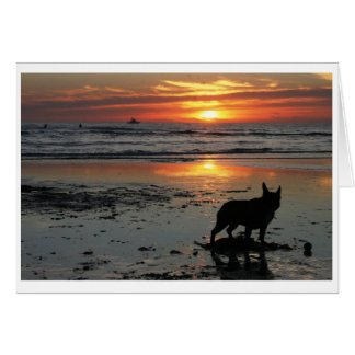 Hund Beach OBS Kort