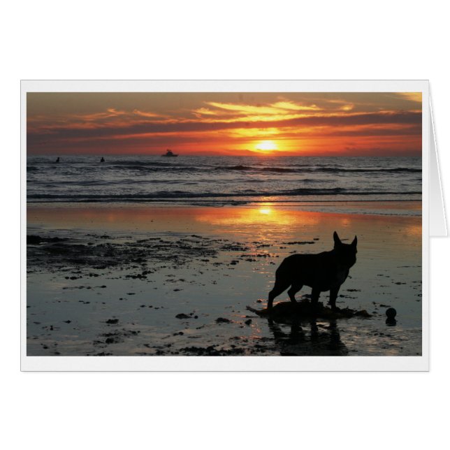 Hund Beach OBS Kort (Framsidan Horizontal)
