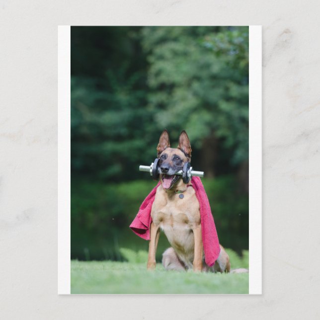 Hund beim Fitnesstining Vykort (Framsida)
