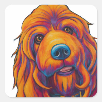 Hund - Bilder och etiketter - Djurälskare