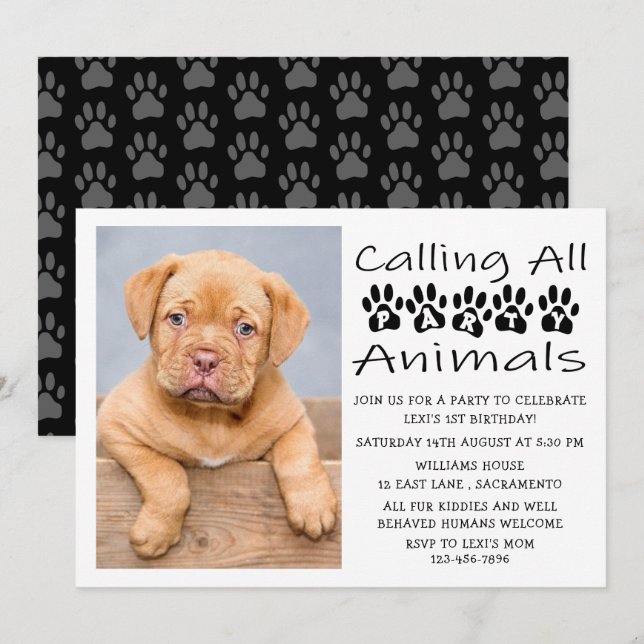 Hund Birthday Photo Inbjudningar (Fram/baksida)