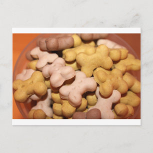 Hund Biscuits Vykort