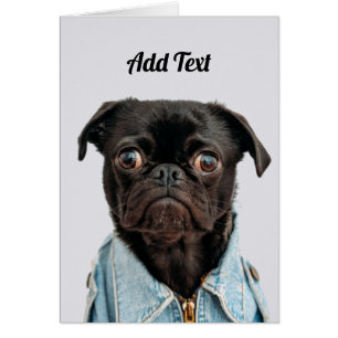 Hund Black Pug Lägg till text Hälsningskort