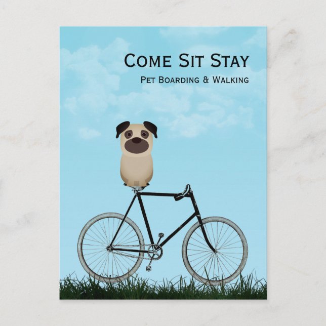 Hund Boarding, Walking, Sitta, Training Business Vykort (Framsida)