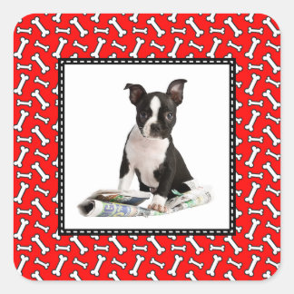 Hund Bone Jul Red Photo Ram för Pet Photo Fyrkantigt Klistermärke